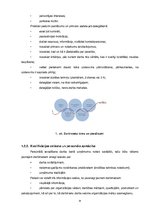 Diplomdarbs 'Personālvadība', 24.