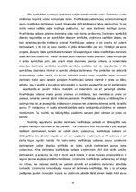 Diplomdarbs 'Personālvadība', 45.