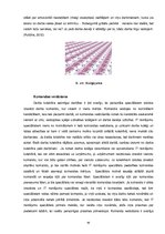 Diplomdarbs 'Personālvadība', 63.