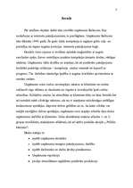 Referāts 'Darba vadīšana uzņēmumā "Balticom"', 3.