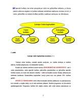 Referāts 'Valsts budžets', 5.