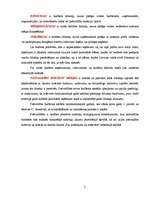 Referāts 'Valsts budžets', 7.