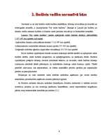 Referāts 'Valsts budžets', 8.