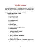 Referāts 'Valsts budžets', 12.