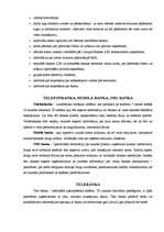 Referāts 'Elektroniskie norēķini', 3.