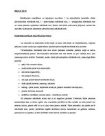 Eseja 'Pētījums par mācīšanās stiliem', 2.