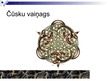 Prezentācija 'Rainis "Gals un sākums". Čūsku vaiņags', 3.