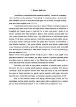 Referāts 'Bērni ar Dauna sindromu', 3.