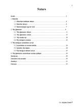 Referāts 'Elektrība un jaunas tās ieguves iespējas', 2.