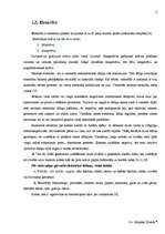 Referāts 'Elektrība un jaunas tās ieguves iespējas', 6.