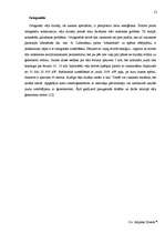 Referāts 'Elektrība un jaunas tās ieguves iespējas', 21.