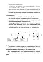 Referāts 'Latvijas kadru politikas virzieni valsts ekonomiskās attīstības kontekstā', 14.