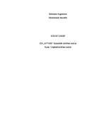 Konspekts 'SIA "Atvari" finansiālās darbības analīze', 1.