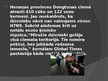 Prezentācija 'Urbanizācija un dabas resursi', 9.