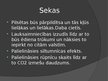 Prezentācija 'Urbanizācija un dabas resursi', 11.