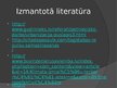 Prezentācija 'Urbanizācija un dabas resursi', 13.