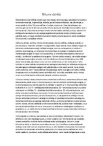 Referāts 'Siltuma dzinēji', 1.