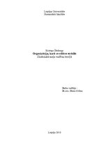 Eseja 'Organizācija, kurā es vēlētos strādāt', 1.