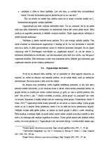 Eseja 'Organizācija, kurā es vēlētos strādāt', 6.