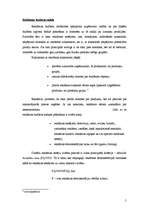 Referāts 'Reklāmas projekti', 5.