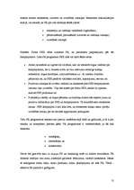 Referāts 'Reklāmas projekti', 13.