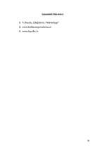 Referāts 'Reklāmas projekti', 16.