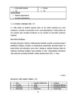 Diplomdarbs 'Realizācijas veicināšanas pasākumu un reklāmas ietekme uz "Head and Shoulders" p', 28.