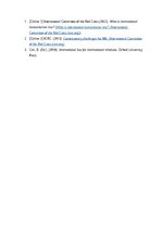 Eseja 'International Humanitarian Law', 3.