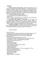 Referāts 'Ķēdes viesnīcas "Radisson SAS"', 11.