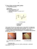 Referāts 'Brīvās krišanas paātrinājuma aprēķināšana ar pulvera figūru palīdzības metodi', 12.