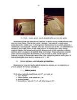 Referāts 'Brīvās krišanas paātrinājuma aprēķināšana ar pulvera figūru palīdzības metodi', 13.