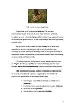 Konspekts 'Sistemātika', 2.