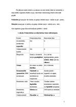 Konspekts 'Sistemātika', 3.