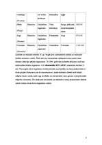 Konspekts 'Sistemātika', 6.