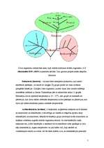 Konspekts 'Sistemātika', 7.