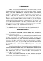 Referāts 'Roku vēzēšanas ietekme uz cilvēka organisma enerģijas patēriņu slodzes laikā', 4.