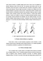 Referāts 'Roku vēzēšanas ietekme uz cilvēka organisma enerģijas patēriņu slodzes laikā', 6.