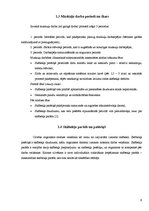 Referāts 'Roku vēzēšanas ietekme uz cilvēka organisma enerģijas patēriņu slodzes laikā', 9.