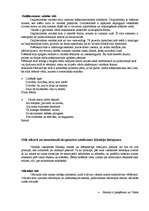 Referāts 'Latviešu valodas stilu analīze', 5.