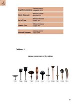 Referāts 'Ziemas Olimpiskās spēles un Latvijas sportisti - šo spēļu dalībnieki', 49.