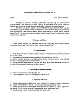 Paraugs 'Oferte, akcepts, pirkšanas-pārdošanas līgums', 3.