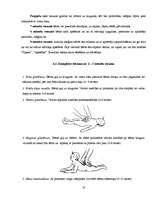 Referāts 'Zīdaiņa masāža', 14.