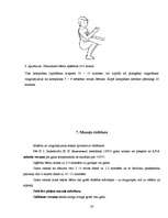 Referāts 'Zīdaiņa masāža', 20.