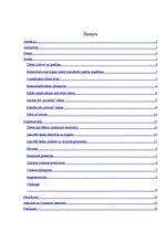 Referāts 'Elektrolizēta ūdens īpašību pētīšana', 4.