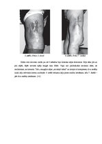 Referāts 'Elektrolizēta ūdens īpašību pētīšana', 11.