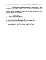 Referāts 'Eksistenciālisms A.Niedras darbā "Sikspārnis"', 10.