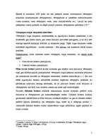 Konspekts 'Vērtspapīru tirgus Latvijā', 5.