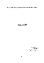 Referāts 'Temperaments, tā tipi', 1.