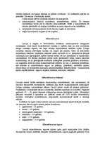 Referāts 'Minerālresursi', 4.