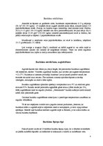 Konspekts 'Burkāni', 4.